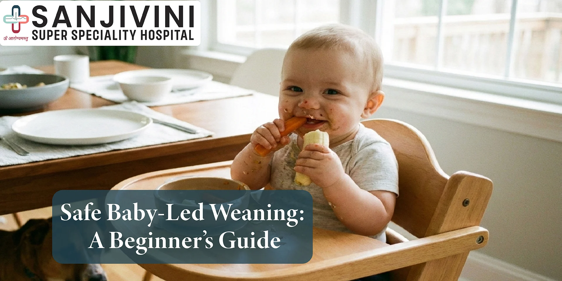 Safe Baby-Led Weaning: A Beginner’s Guide