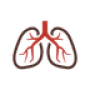 pulmonary (2)